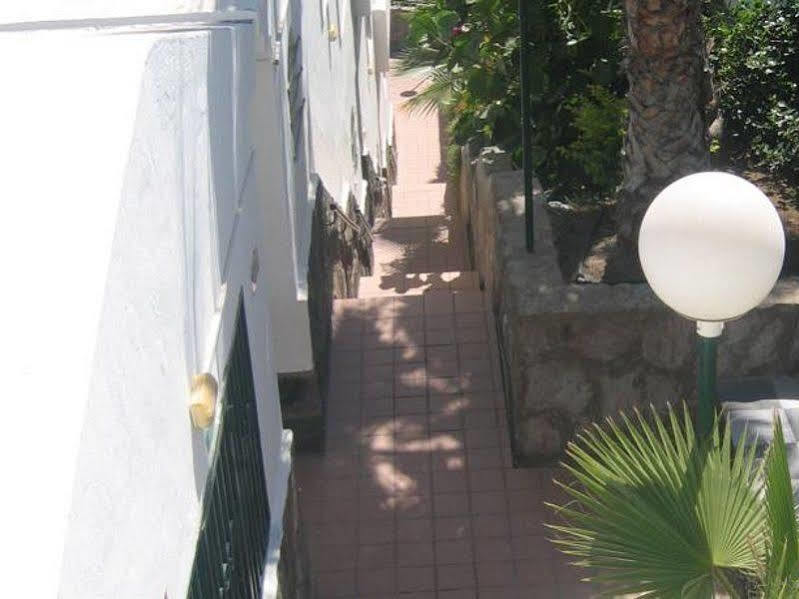 Apartamentos Laguna Puerto Rico  Exterior photo